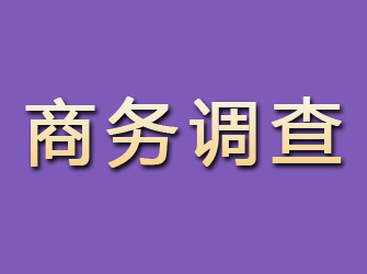 溆浦商务调查