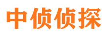 溆浦捉小三公司